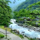 喇叭河风景区 - 雅安市旅游 缩略图 7