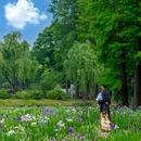 蠡园 - 无锡市旅游 缩略图 3
