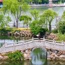 蠡园 - 无锡市旅游 缩略图 7