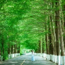 紫柏山自然风景区 - 宝鸡市旅游 缩略图 5