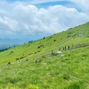 紫柏山自然风景区 - 宝鸡市旅游 缩略图 9