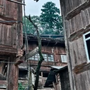雀鸟村呆一宿 - 黔东南苗族侗族自治州旅游 缩略图 3