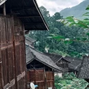 雀鸟村呆一宿 - 黔东南苗族侗族自治州旅游 缩略图 6