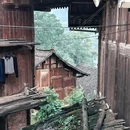 雀鸟村呆一宿 - 黔东南苗族侗族自治州旅游 缩略图 7