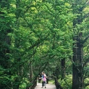 国家植物园-樱桃沟 - 北京市旅游 缩略图 1