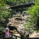 国家植物园-樱桃沟 - 北京市旅游 缩略图 2
