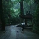 云栖竹径 - 杭州市旅游 缩略图 1