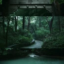 云栖竹径 - 杭州市旅游 缩略图 6