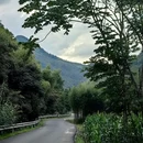 江苏省泰州园博园 - 泰州市旅游 缩略图 5