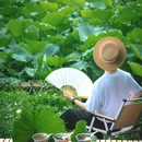 乌镇古镇旅游区 - 嘉兴市旅游 缩略图 1