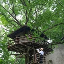 乌镇古镇旅游区 - 嘉兴市旅游 缩略图 5