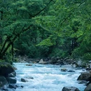 喇叭河风景区 - 雅安市旅游 缩略图 5