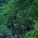喇叭河风景区 - 雅安市旅游 缩略图 2