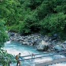喇叭河风景区 - 雅安市旅游 缩略图 7