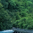 喇叭河风景区 - 雅安市旅游 缩略图 8