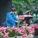 白塔西路与皮市街交叉口 - 苏州市旅游 缩略图 1