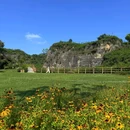 重庆金刀峡景区 - 重庆市旅游 缩略图 9