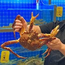厦门集美世茂广场 - 厦门市旅游 缩略图 7
