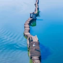 犭央犭茶 湖 - 绍兴市旅游 缩略图 1