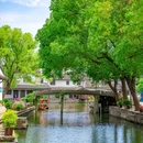 犭央犭茶 湖 - 绍兴市旅游 缩略图 6