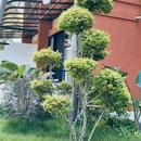 告庄西双景 - 西双版纳傣族自治州旅游 缩略图 5