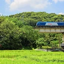 金坑美丽乡村示范点(金坑绿谷) - 广州市旅游 缩略图 3