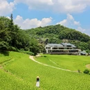 金坑美丽乡村示范点(金坑绿谷) - 广州市旅游 缩略图 5