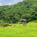 金坑美丽乡村示范点(金坑绿谷) - 广州市旅游 缩略图 2