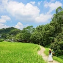 金坑美丽乡村示范点(金坑绿谷) - 广州市旅游 缩略图 8