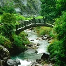 蓬溪村游客中心 - 温州市旅游 缩略图 5