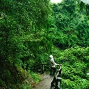蓬溪村游客中心 - 温州市旅游 缩略图 6