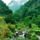蓬溪村游客中心 - 温州市旅游 缩略图 7