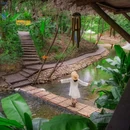 茅山森林世界 - 常州市旅游 缩略图 4