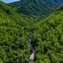 七星谷景区 - 湖州市旅游 缩略图 2