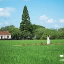金华十二杉房开元名庭度假酒店 - 金华市旅游 缩略图 9