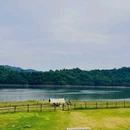 金华十二杉房开元名庭度假酒店 - 金华市旅游 缩略图 8