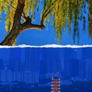 南京夫子庙 - 南京市旅游 缩略图 4