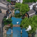绍兴黄酒小镇 - 绍兴市旅游 缩略图 8