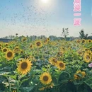 米禾农场 - 西安市旅游 缩略图 3