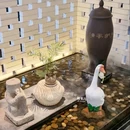 颐和路公馆区第十二片区 - 南京市旅游 缩略图 4