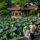 仓桥直街 - 绍兴市旅游 缩略图 8