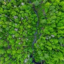 长白山北景区 - 延边朝鲜族自治州旅游 缩略图 2