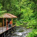 长白山北景区 - 延边朝鲜族自治州旅游 缩略图 9