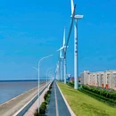南北湖风景区 - 嘉兴市旅游 缩略图 7