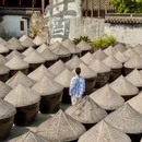 南北湖风景区 - 嘉兴市旅游 缩略图 9