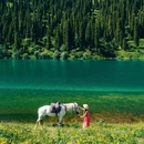 仙女湖-入口 - 伊犁哈萨克自治州旅游 缩略图 1