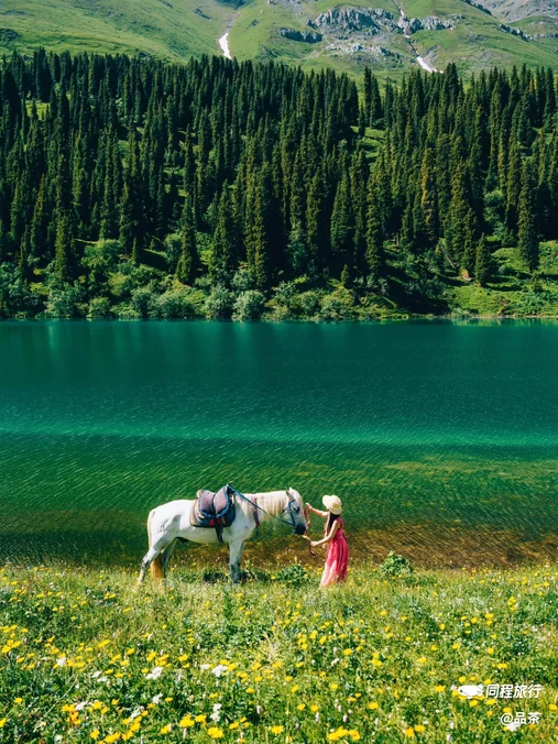 仙女湖-入口 - 伊犁哈萨克自治州旅游