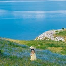 赛里木湖国家级风景名胜区 - 博尔塔拉蒙古自治州旅游 缩略图 6