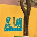 翠湖公园 - 昆明旅游 缩略图 4