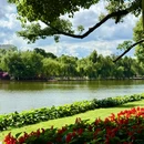 翠湖公园 - 昆明旅游 缩略图 3